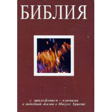 Библия с приложением,  used book